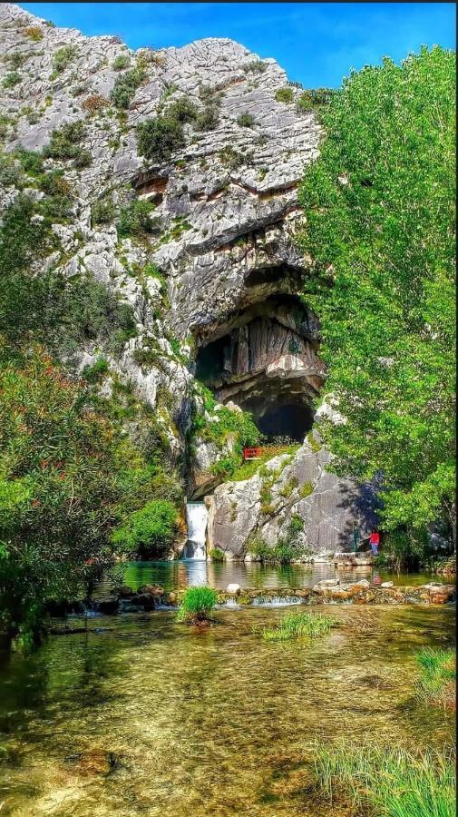 Casa Rural Las Rosas De Бенаохан Екстер'єр фото