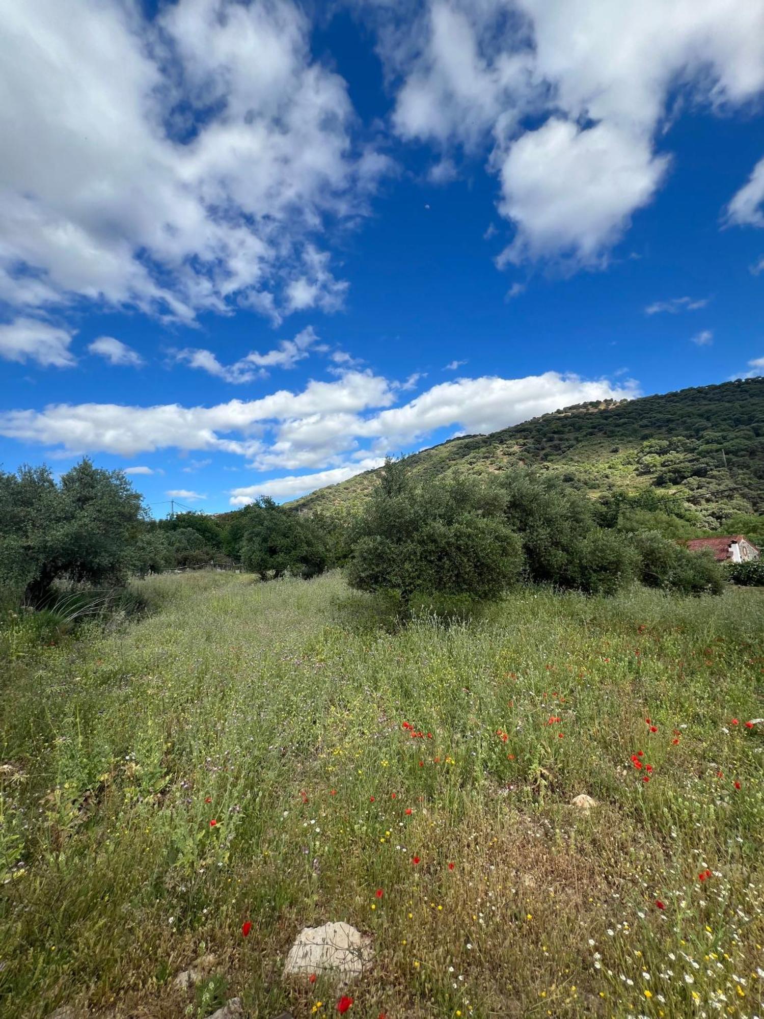 Casa Rural Las Rosas De Бенаохан Екстер'єр фото
